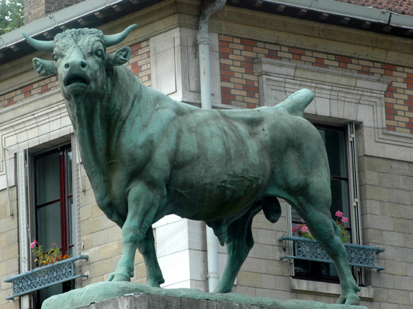 Taureau. Isidore Bonheur.